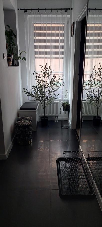 Apartamenty Magvel شتشيتسين المظهر الخارجي الصورة